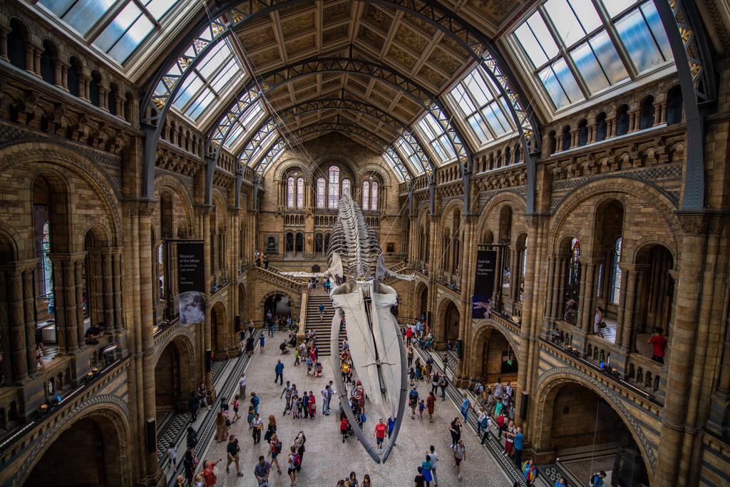 Musée d'Orsay