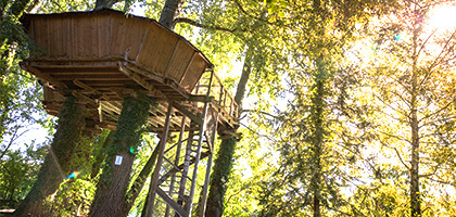 cabane perchée dans les arbres